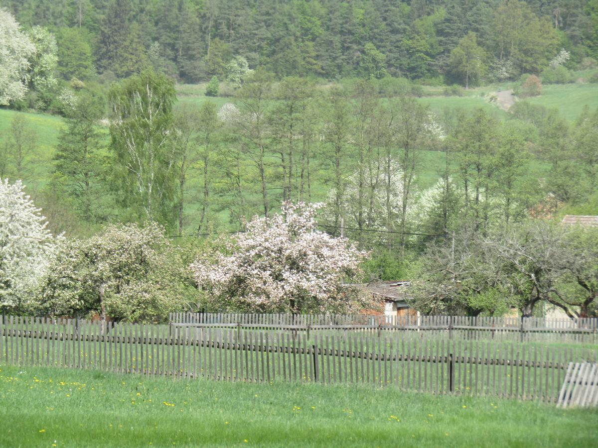 Rekreacni Dum Brdy Ohrazenice (Pribram) Exterior foto